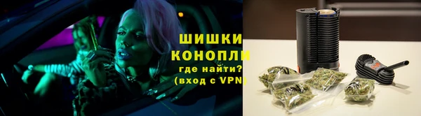 ПСИЛОЦИБИНОВЫЕ ГРИБЫ Баксан