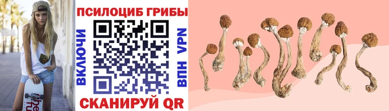 Галлюциногенные грибы MAGIC MUSHROOMS где купить наркоту Верхняя Тура